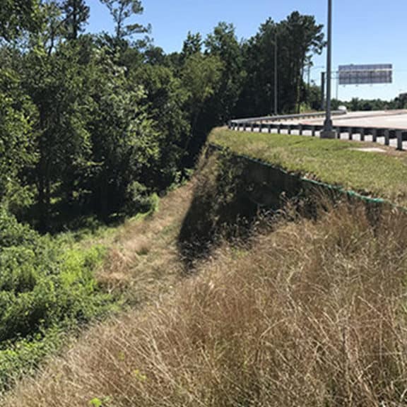 Naturally vegetated retaining wall