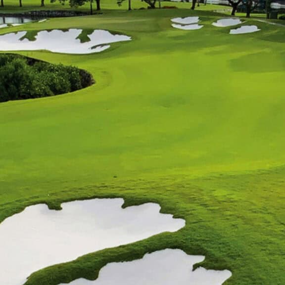 Professional soil conditioners help establish beautiful grass on new golf course