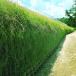 Geocell retaining wall filled with native grasses