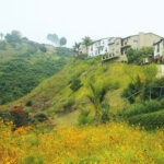 Natural looking retaining wall