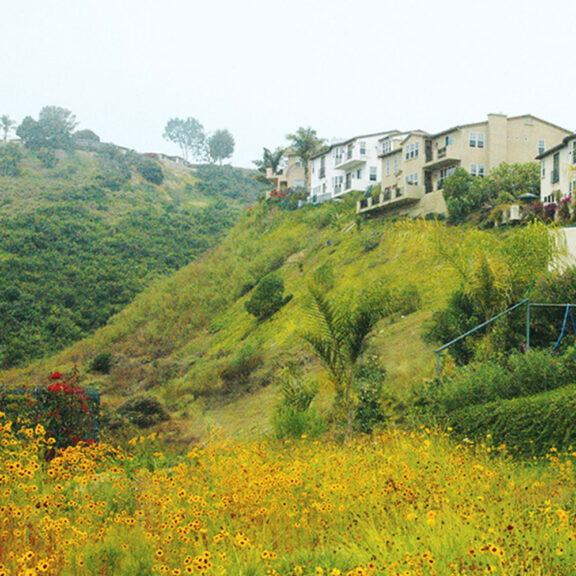 Natural looking retaining wall