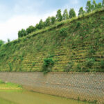 Steep, vegetated MSE wall