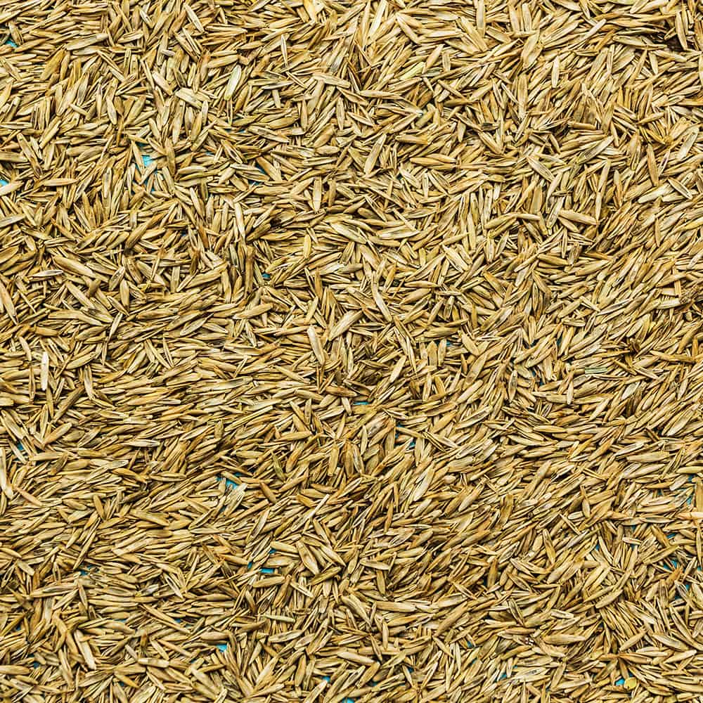 Large quantity of native blends grass seed and other professional seeds and grasses