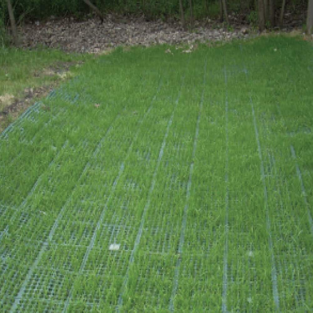 A newly installed Northern American Green Shoremax transition mat