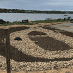 A biofiltration system at a harbor working to reduce runoff pollutants and protect water quality