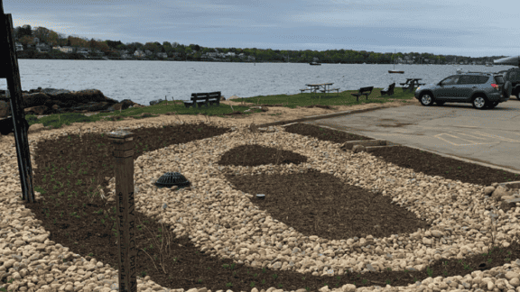 A biofiltration system at a harbor working to reduce runoff pollutants and protect water quality