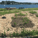 View of stormwater water solutions at a harbor after initial installation