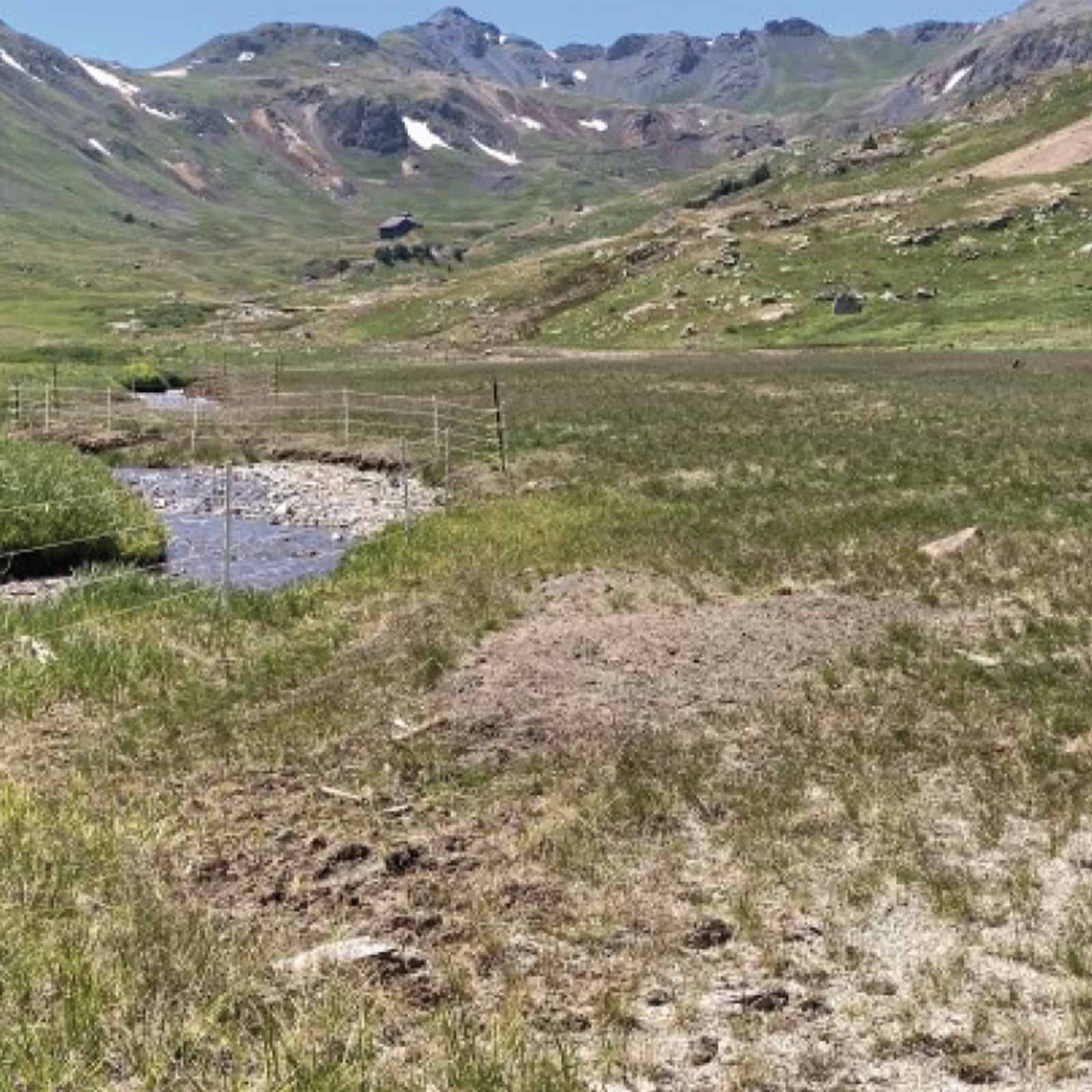 An area of the San Juan Mountains that is revegetated thanks to custom biotic amendments from Ferguson Waterworks.