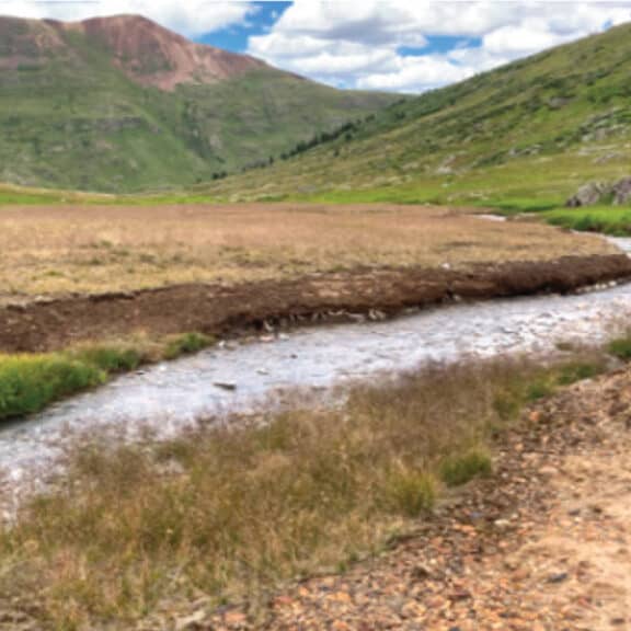 Silverton, Colorado in the San Juan Mountains nicely vegetated after using biotic soil amendments