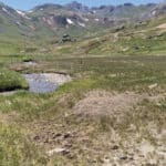 Retired mining site in the mountains of CO that requires re-vegetation.