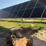 IMPA Solar Park Revegetation Gallery 1