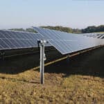 IMPA Solar Park Revegetation Gallery 2