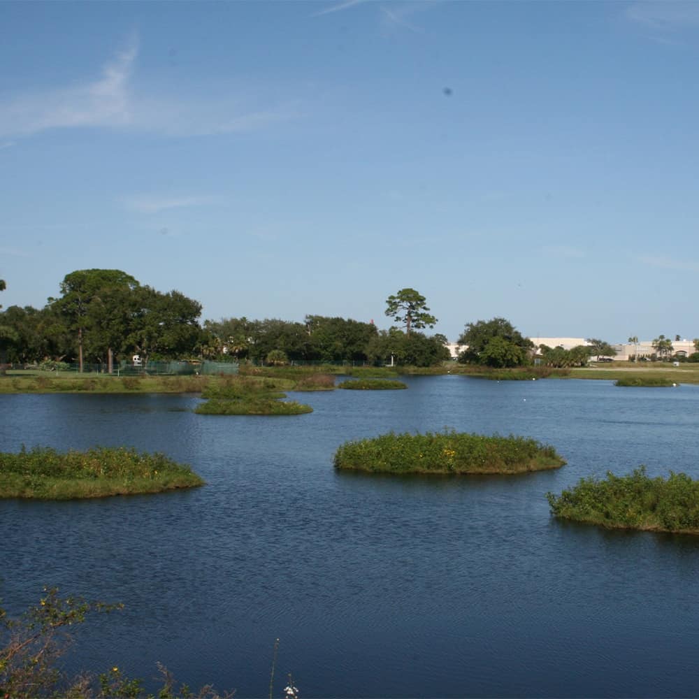 Multiple beemats floating wetlands in a large water body.