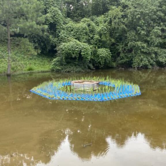 A newly installed beemat with freshly potted native plants that will help reduce algae blooms.