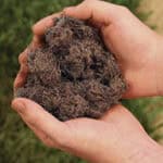 A handful of rich, biotic soil