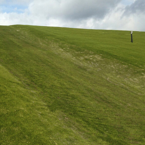 Large area covered with hydroturf grass