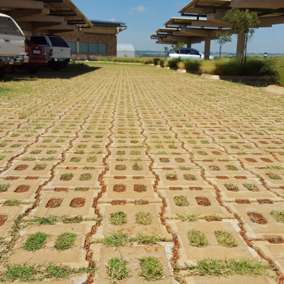 Vegetated articulated concrete blocks